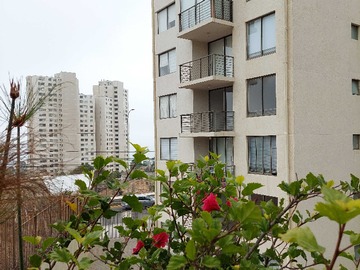 Departamento en arriendo mensual en Playa, parques, colegios, comercio todo cerca (153583), Concón - 2 dormitorios, 1 baño