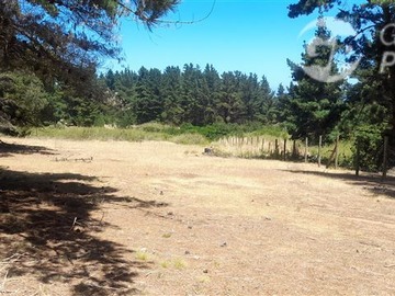 Venta / Terreno / Algarrobo
