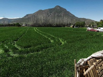 Terreno en venta en Se vende parcela en paine 1 hectárea (125483), Paine
