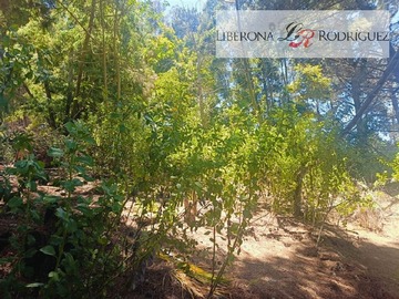 Parcela en arriendo mensual en Terreno en zona productiva portuaria de Placilla, Valparaíso