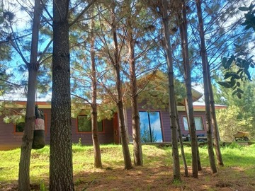 Parcela en venta en Nancahue, Loncoche - 4 dormitorios, 2 baños