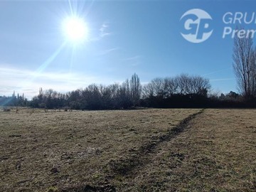 Terreno Agricola en arriendo mensual en Los angeles, el olmo, Los Ángeles