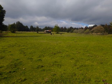 Terreno Agricola en venta en Se Vende Hermoso Campo de 61 Hectáreas en Vilcún