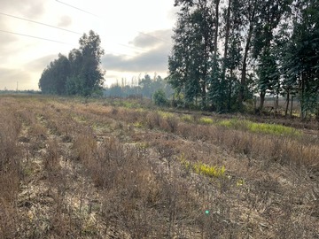Terreno en venta en Yerbas Buenas, Yerbas Buenas