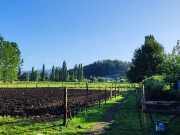 Venta / Terreno / Santa Juana