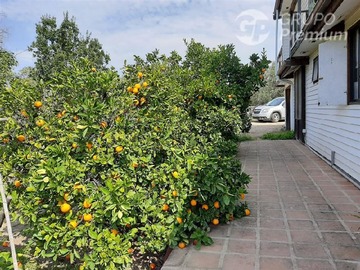Parcela en venta en Codigua,ruta g-668,melipilla, Melipilla - 3 dormitorios, 2 baños
