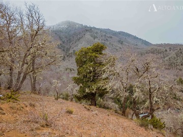 Sitio en venta en caracoles, Lonquimay