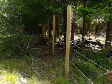 Venta / Terreno / Pucón