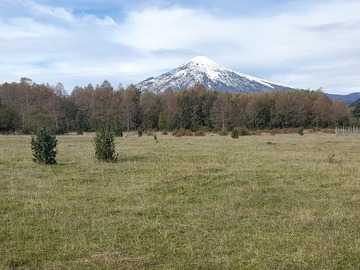 Parcela en venta en Villarrica, Villarrica