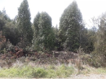 Parcela en venta en Colonia Tres Puentes, Puerto Varas