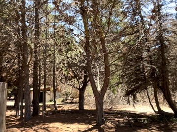 Parcela en venta en Orilla de carretera, La Ligua