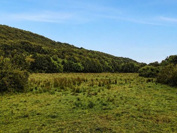 Terreno en venta en Parcelas Orilla de Camino Asfaltado en Cucao (177602), Chonchi
