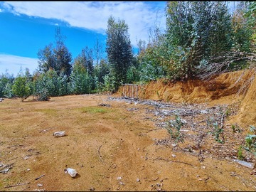 Terreno en venta en Parcela de 9500 m2, en Santa Juana (125076), Santa Juana