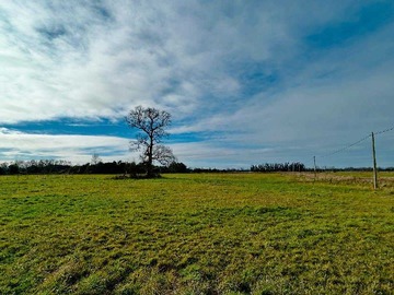 Terreno en venta en Parcela, Loteo Río Damas (113511), Osorno