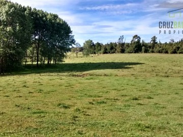 Terreno Agricola en venta en Campo cercano a Río Frío, 100 hectáreas, Puerto Varas