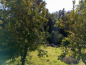 Terreno en venta en Paraíso Natural Ideal para Desconectar (132360), Paine - 2 dormitorios, 3 baños
