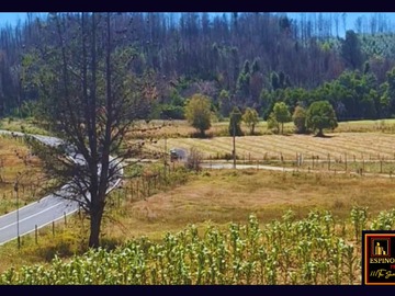 Terreno en venta en Parcelas colico, orillla de carretera (67691), Santa Juana