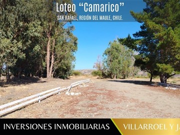 Parcela en venta en Comuna de San Rafael Región del Maule, San Rafael