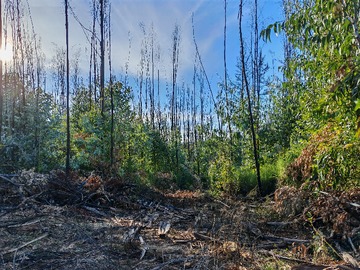 Terreno en venta en Coihue, Santa Juana