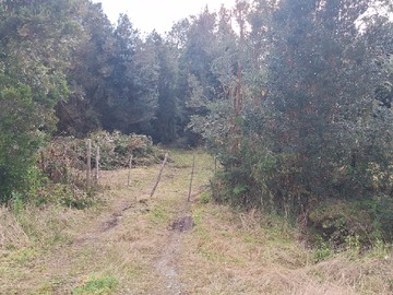 Terreno en venta en 5 Lotes de 3 Ha C/U Sector Nahuelco, Maullin. Ruta V-930