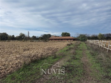 Parcela en venta en Parcelación San José del Carmen (Sector El Huique / Lihueimo), Palmilla - 3 dormitorios, 1 baño