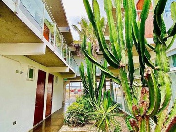 Local Comercial en arriendo mensual en Propiedad comercial ideal para tu negocio (153863), Arica - 23 dormitorios, 25 baños