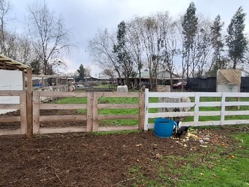 Terreno Agricola en venta en parcelacion la tercera, Longaví