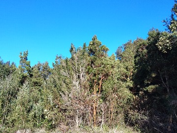 Terreno Agricola en venta en Oportunidad de Inversión Isla Quinchao