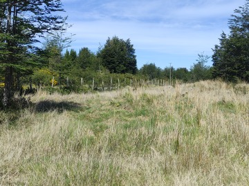 Parcela en venta en Carihueico, Dalcahue