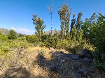 Terreno Agricola en venta en El llano de cale, Til til