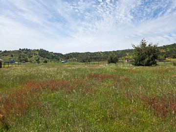 Parcela en venta en viña ranquilhue, Pumanque