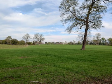 Terreno Agricola en venta en Km. 14, Camino Victoria a Curacautín, Victoria