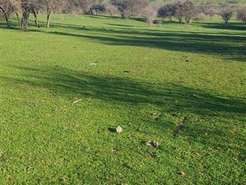 Parcela en venta en Huilliborgoa, San Rafael