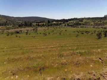 Terreno Agricola en venta en Nihue, San Pedro