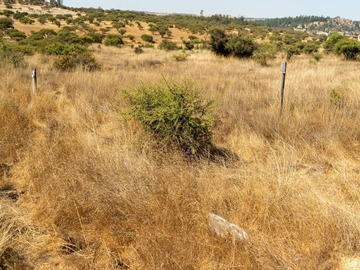 Terreno en venta en Litueche, Litueche