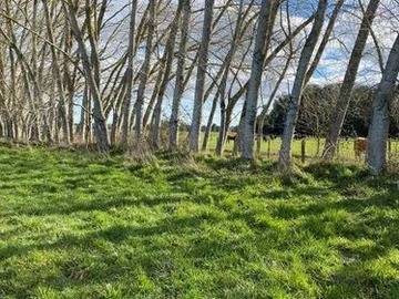 Parcela en venta en A 20 min de Frutillar ruta v200, Frutillar
