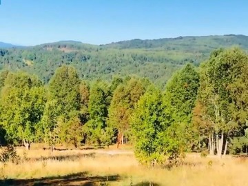 Sitio en venta en Hacia cunco, Villarrica