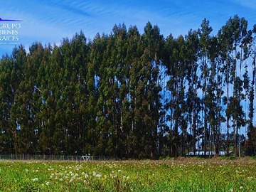Terreno en venta en Parcela Condominio Vive Frutiilar (72449), Frutillar