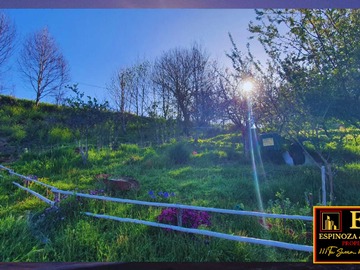 Terreno en venta en Terreno en tome , 5,11 hectareas (67708), Tomé