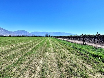 Terreno Agricola en venta en En Venta Parcela en San Rafael, San Felipe, 75.600 M2., En Produc...