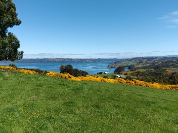 Parcela en venta en Quetalco, Dalcahue