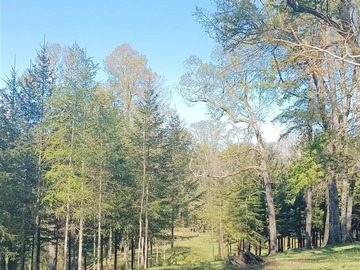 Sitio en venta en Camino villarrica - loncohe, Villarrica