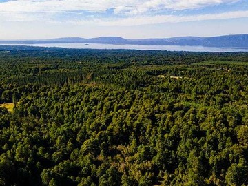 Terreno en venta en Parcela 5.000, a 21 Kilometros de Pucón (74528), Pucón