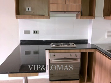 Arriendo Mensual / Departamento / Concepción