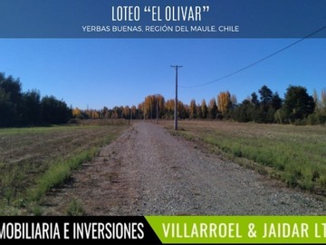 Parcela en venta en Yerbas buenas, región del maule, Yerbas Buenas