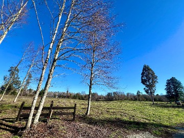 Terreno en venta en Parcelas Villarrica - Refugio Las Loicas (145776), Villarrica