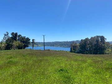Terreno Agricola en venta en Excelente Terreno