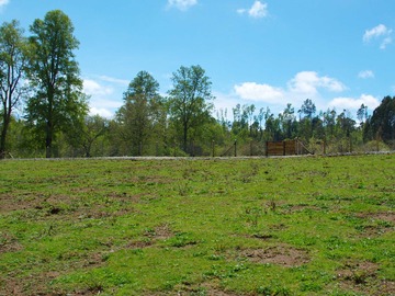 Terreno en venta en Oportunidad Inversión en Villarrica (144621), Villarrica