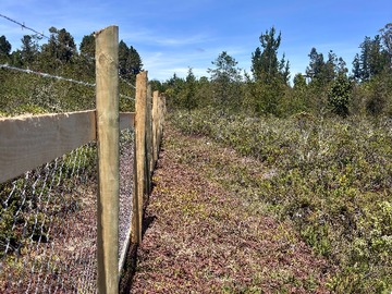 Terreno en venta en Oportunidad de inversión en Calbuco 11.250 M2 (71812), Calbuco