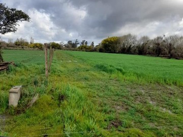 Parcela en venta en Carretera 5 Norte - Camino a Lilahue, San Carlos
